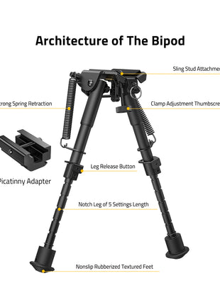 Architecture of The Bipod