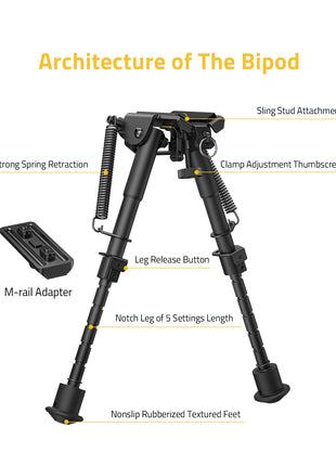 Architecture of The Bipod