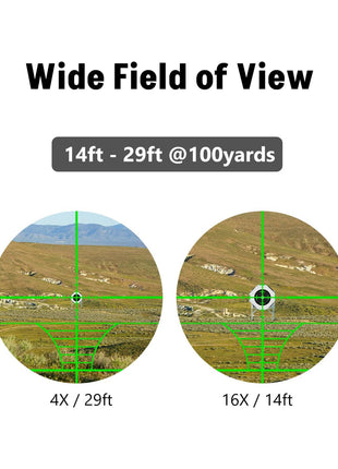 Wide Field of View