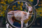 FFP vs SFP Rifle Scopes: The Complete Comparison Guide - CVLIFE