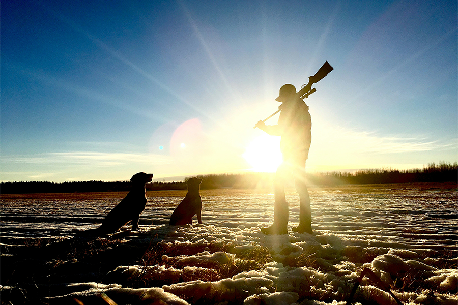 What kind of scope 🔭 is best for an AR-15? - CVLIFE