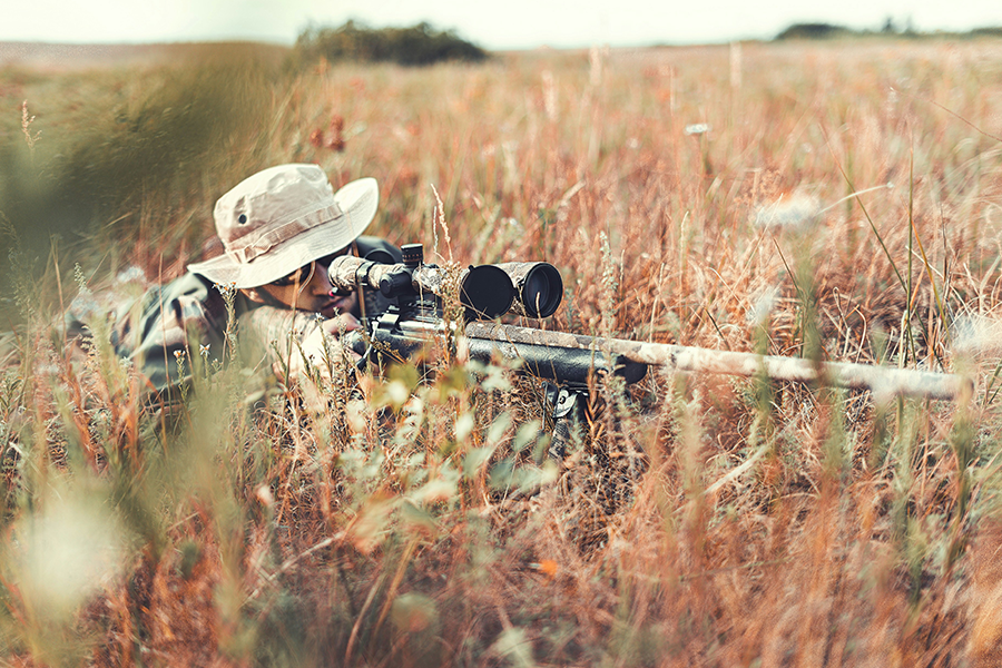 BDC scope and red dot in CVLIFE