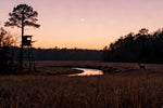 2026 Deer Hunting by Moon Phase: Best Days to Take Off