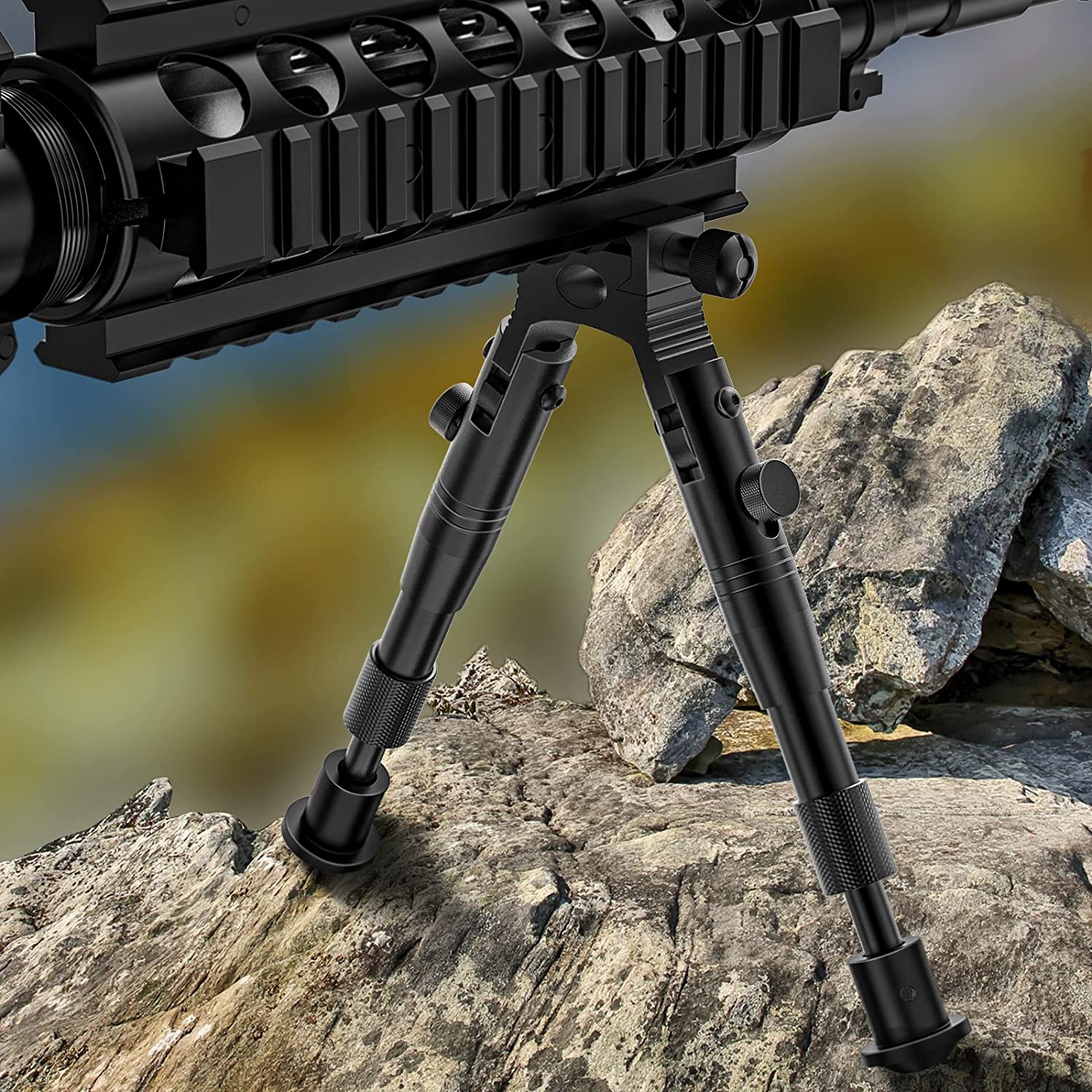Picatinny Rails Or The M-Lok System?