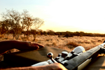 Magnification vs. Field of View: What Actually Improves Hunting Accuracy? - CVLIFE