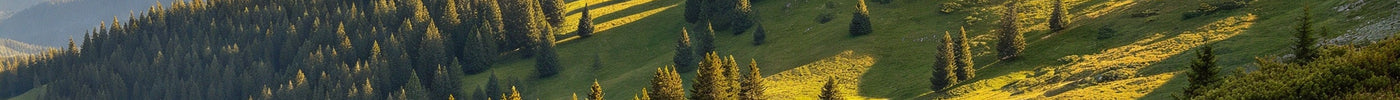 Riflescope Troubleshooting: Blurry Image, Dim View & Reticle Issues
