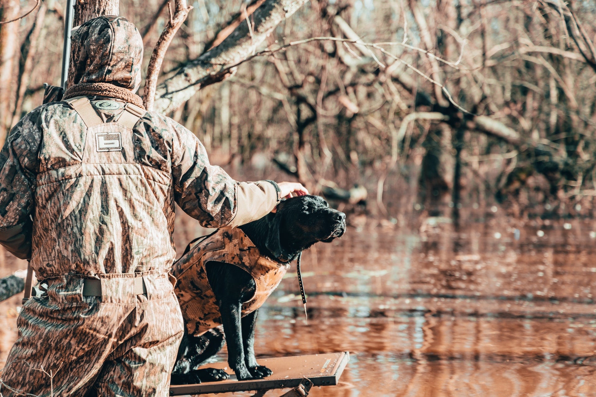 The Thrill of Waterfowl Hunting