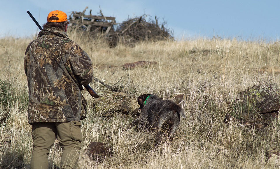 Deer Hunting Season Begins in West Virginia, Connecticut And Ohio
