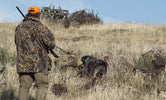 Deer Hunting Season Begins in West Virginia, Connecticut And Ohio