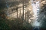 From Scouting to Shooting: 4 Things to Do Before Hunting Season
