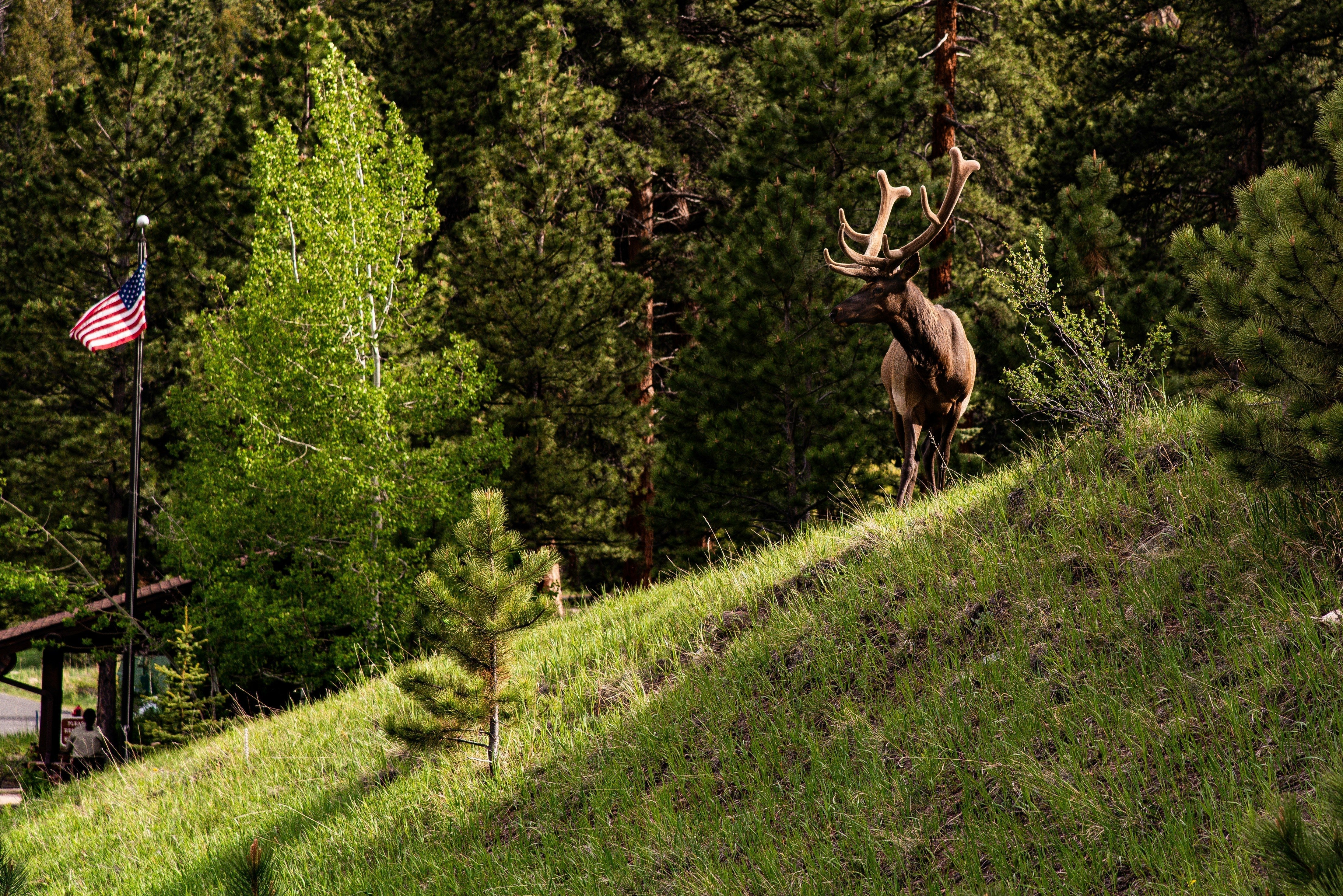 Old-School Hunting Strategy Still Work—Why Hunters Shouldn't Ignore Them - CVLIFE