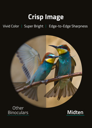 The binoculars with crisp image