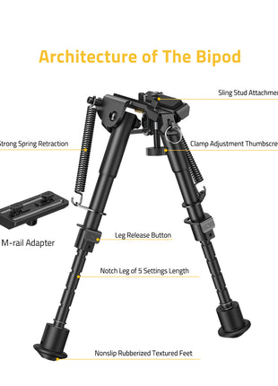 Architecture of The Bipod