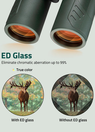 The binoculars of eliminate chromatic aberration up to 99%