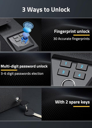 Biometric Safe