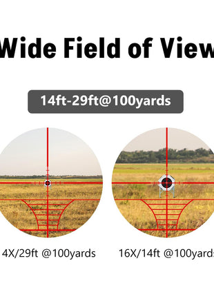 Wide Field of View